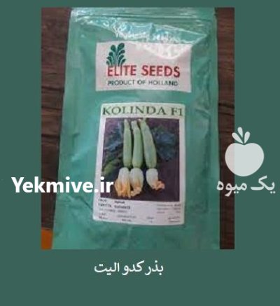 فروش بذر کدو ELITE SEEDS بذر در اهواز در گروه خرید و فروش بذر کدو در یکمیوه -عکس1