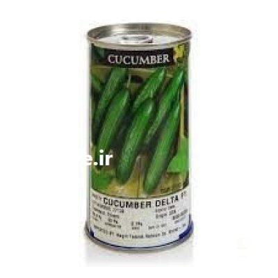 بذر خیار دلتا اینفینیتی در بندرعباس در گروه خرید و فروش بذر خیار در یکمیوه -عکس1