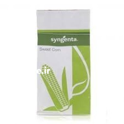 بذر خیار دلتا در زاهدان در گروه خرید و فروش بذر خیار در یکمیوه -عکس1