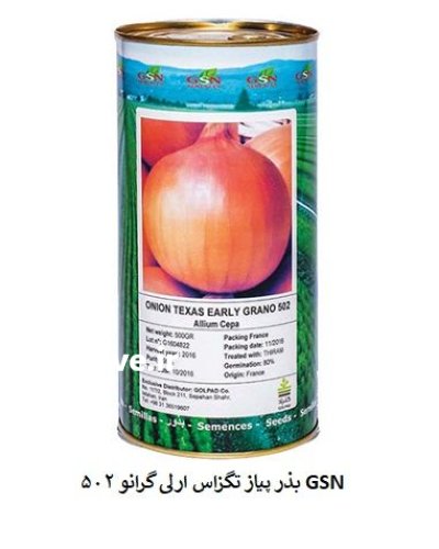 فروش بذر پیاز تگزاس ارلی گرانو در گروه خرید و فروش بذر پیاز در یکمیوه -عکس1