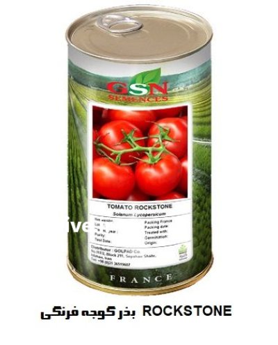 فروش بذر گوجه فرنگی ROCKSTONE در اهواز در گروه خرید و فروش بذر گوجه در یکمیوه -عکس1