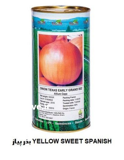 فروش بذر پیاز YELLOW SWEET SPANISH در اهواز در گروه خرید و فروش بذر پیاز در یکمیوه -عکس1