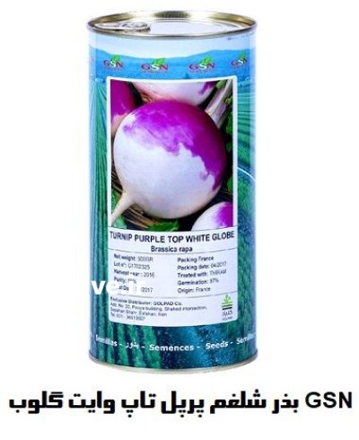 فروش بذر شلغم پرپل تاپ و ایت در اهواز در گروه خرید و فروش بذر صیفی جات در یکمیوه -عکس1