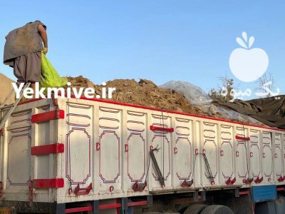 کود مرغی در گرگان در گروه خرید و فروش کود مرغی در یکمیوه -عکس2