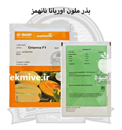 بذر ملون خربزه اوریانا نانهمز در رشت در گروه خرید و فروش بذر خربزه در یکمیوه -عکس1