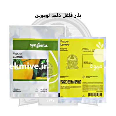 بذر فلفل دلمه رنگی لوموس سینجنتا در رشت در گروه خرید و فروش بذر فلفل در یکمیوه -عکس1