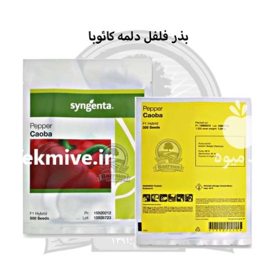 بذر فلفل دلمه رنگی کائوبا سینجنتا در گروه خرید و فروش بذر فلفل در یکمیوه -عکس1