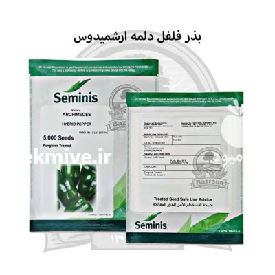 بذر فلفل دلمه ارشمیدوس سمینیس در رشت در گروه خرید و فروش بذر فلفل در یکمیوه -عکس1