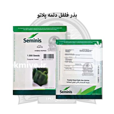 بذر فلفل دلمه پلاتو سمینیس در رشت در گروه خرید و فروش بذر فلفل در یکمیوه -عکس1