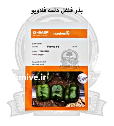 بذر فلفل دلمه فلاویو نانهمز در گروه خرید و فروش بذر فلفل در یکمیوه -عکس1