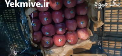 سیب درختی در سیلوانه در گروه خرید و فروش سیب در یکمیوه -عکس2