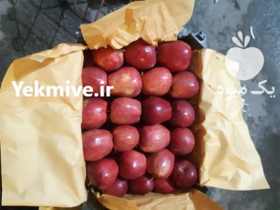 سیب درختی در سیلوانه در گروه خرید و فروش سیب در یکمیوه -عکس3