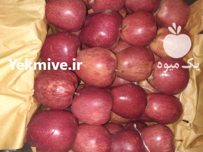 سیب درختی در سیلوانه در گروه خرید و فروش سیب در یکمیوه -عکس4