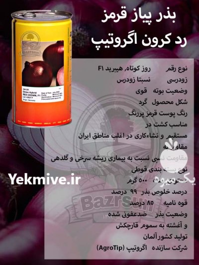 بذر پیاز قرمز رد کرون اگروتیپ در ساری در گروه خرید و فروش بذر پیاز در یکمیوه -عکس1
