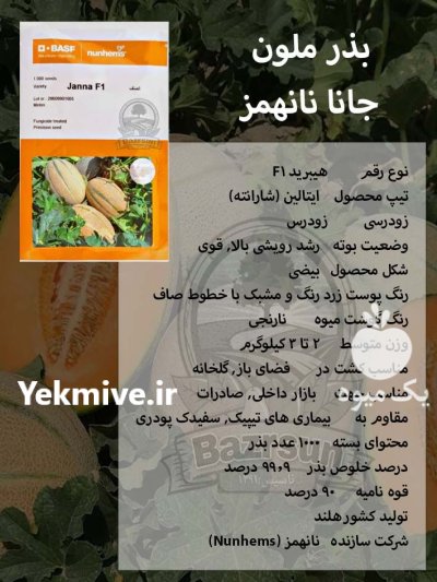 بذر ملون خربزه جانا نانهمز در ساری در گروه خرید و فروش بذر خربزه در یکمیوه -عکس1