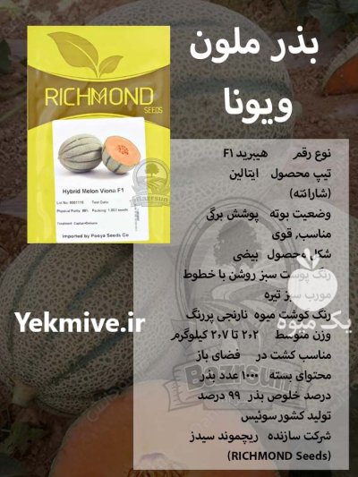 بذر ملون خربزه و یونا در ساری در گروه خرید و فروش بذر خربزه در یکمیوه -عکس1
