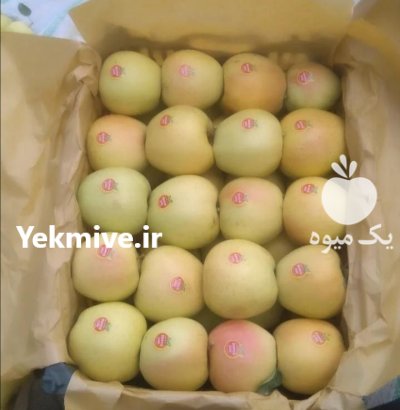 فروش 15 تن سیب در ارومیه در گروه خرید و فروش سیب در یکمیوه -عکس1