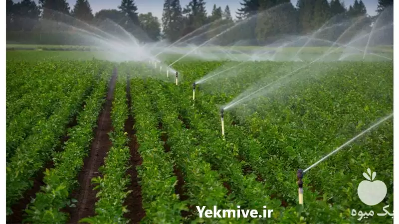 قیمت خرید مشاوره آبیاری بارانی در رشت در گروه خرید و فروش اتصالات و تجهیزات آبیاری در یکمیوه -عکس1