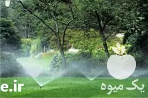 اجرای سیستم آبیاری قطره ای در تبریز در گروه خرید و فروش انواع تجهیزات آبیاری در یکمیوه -عکس1