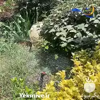 طراحی آبیاری گیاهان فضای سبز خانگی در تهران در گروه سازنده در یکمیوه
