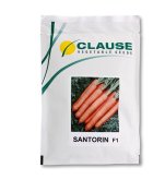 فروش بذر هویج سنتورین در گروه خرید و فروش بذر هویج در یکمیوه