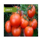 بذر گوجه ازمیر در گروه خرید و فروش بذر گوجه در یکمیوه