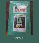 فروش بذر کدو ELITE SEEDS بذر در اهواز در گروه خرید و فروش بذر کدو در یکمیوه