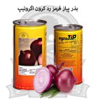 بذر پیاز قرمز رد کرون اگروتیپ در گروه خرید و فروش بذر پیاز در یکمیوه