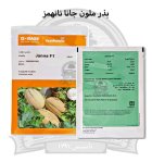 بذر ملون خربزه جانا نانهمز در رشت در گروه خرید و فروش بذر خربزه در یکمیوه