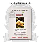 بذر خربزه آناناسی اولین اماسیدز در رشت در گروه خرید و فروش بذر خربزه در یکمیوه