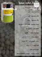 بذر پیاز سفید مینروا در ساری در گروه خرید و فروش بذر پیاز در یکمیوه