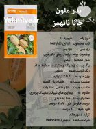 بذر ملون خربزه جانا نانهمز در ساری در گروه خرید و فروش بذر خربزه در یکمیوه