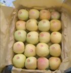 فروش 15 تن سیب در ارومیه در گروه خرید و فروش سیب در یکمیوه