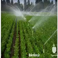 قیمت خرید مشاوره آبیاری بارانی در رشت در گروه خرید و فروش اتصالات و تجهیزات آبیاری در یکمیوه