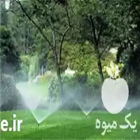 اجرای سیستم آبیاری قطره ای در تبریز در گروه خرید و فروش انواع تجهیزات آبیاری در یکمیوه