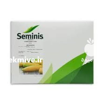 بذر ذرت شیرین مسنجر سمینیس در بوشهر در گروه خرید و فروش بذر ذرت در یکمیوه -عکس1