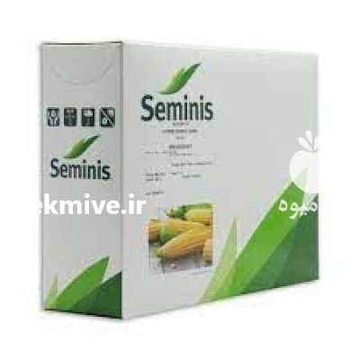 بذر ذرت شیرین مسنجر در چاه بهار در گروه خرید و فروش بذر ذرت در یکمیوه -عکس1