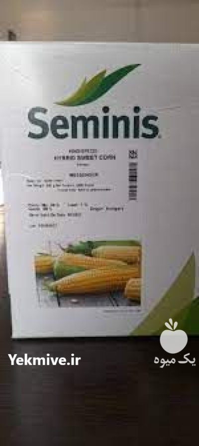 بذر ذرت مسنجر سمینیس در بزمان در گروه خرید و فروش بذر ذرت در یکمیوه -عکس1