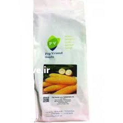 بذر ذرت سمیرا در گروه خرید و فروش بذر ذرت در یکمیوه -عکس1