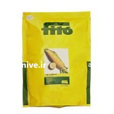 بذر ذرت سوپر شیرین 1280 فیتو در گروه خرید و فروش بذر ذرت در یکمیوه -عکس1