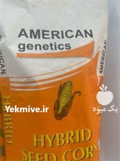 بذر ذرت آمریکن ژنتیک در اهواز در گروه خرید و فروش بذر ذرت در یکمیوه -عکس1