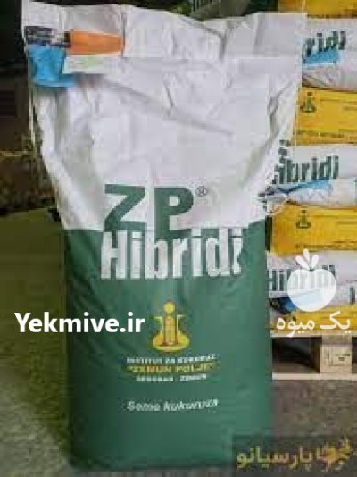 بذر ذرت زد پی 600 در محمدآباد در گروه خرید و فروش بذر ذرت در یکمیوه -عکس1