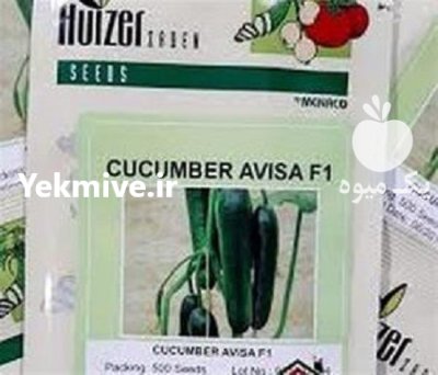 بذر خیار گلخانه ای آویسا در هرمزگان در گروه خرید و فروش بذر خیار در یکمیوه -عکس1