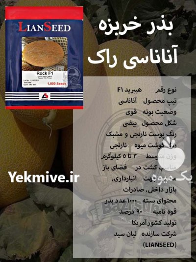 بذر خربزه آناناسی راک در گروه خرید و فروش بذر خربزه در یکمیوه -عکس1