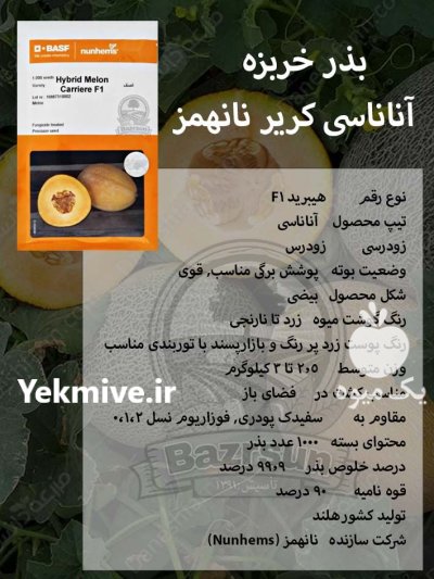 بذر خربزه آناناسی کریر نانهمز در ساری در گروه خرید و فروش بذر خربزه در یکمیوه -عکس1