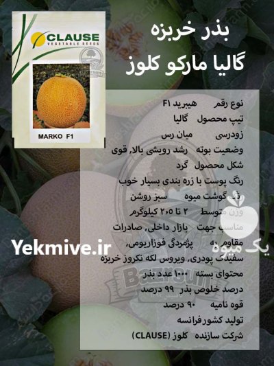 بذر خربزه گالیا مارکو کلوز در گروه خرید و فروش بذر خربزه در یکمیوه -عکس1