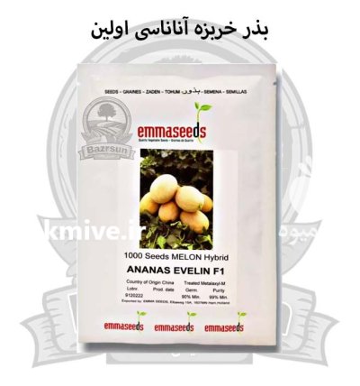 بذر خربزه آناناسی اولین اماسیدز در ساری در گروه خرید و فروش بذر خربزه در یکمیوه -عکس1