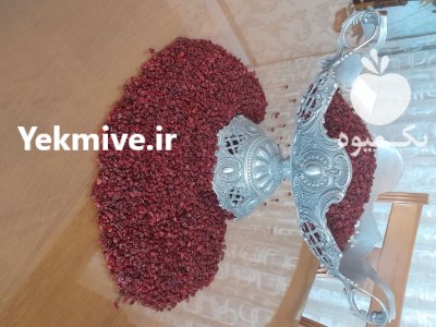 زرشک قائنات در مشهد در گروه خرید و فروش زرشک در یکمیوه -عکس1