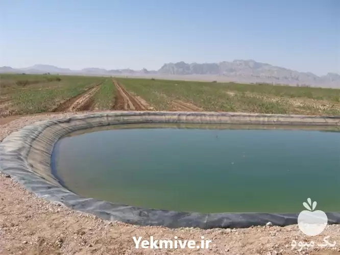 قیمت خرید ساخت استخر پلیمری جدید در قم در گروه خرید و فروش ژئوممبران و ژئوتکستایل در یکمیوه -عکس1