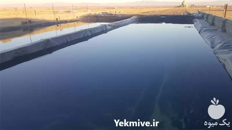 قیمت خرید اجرا و نصب استخر در گروه خرید و فروش ژئوممبران و ژئوتکستایل در یکمیوه -عکس1